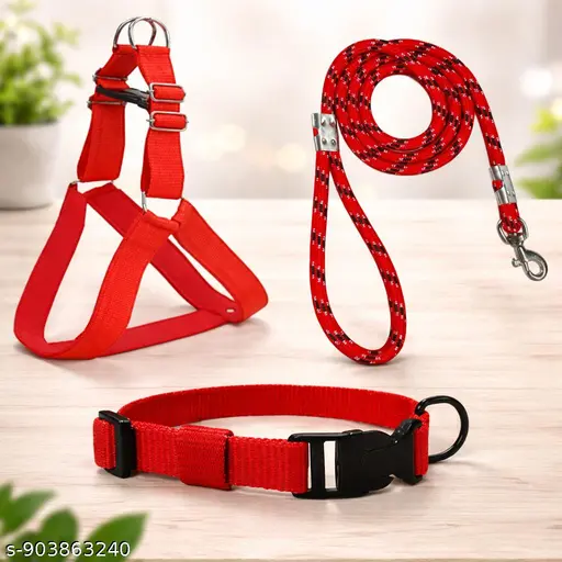 Nylon Dog Leash & Collar Set