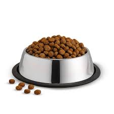 Stainless Steel Dog Feeding Bowl (Large)