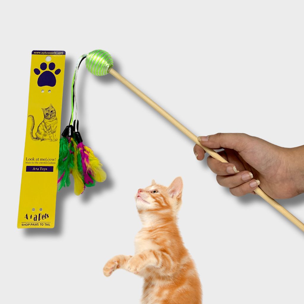 Cat Teaser Wand with Feather