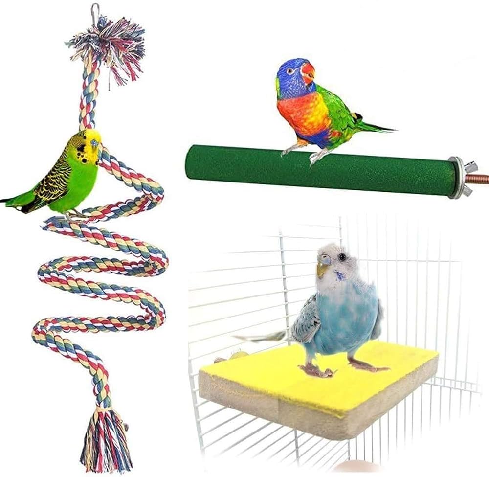 Bird Cage Swing & Perch Toy Set